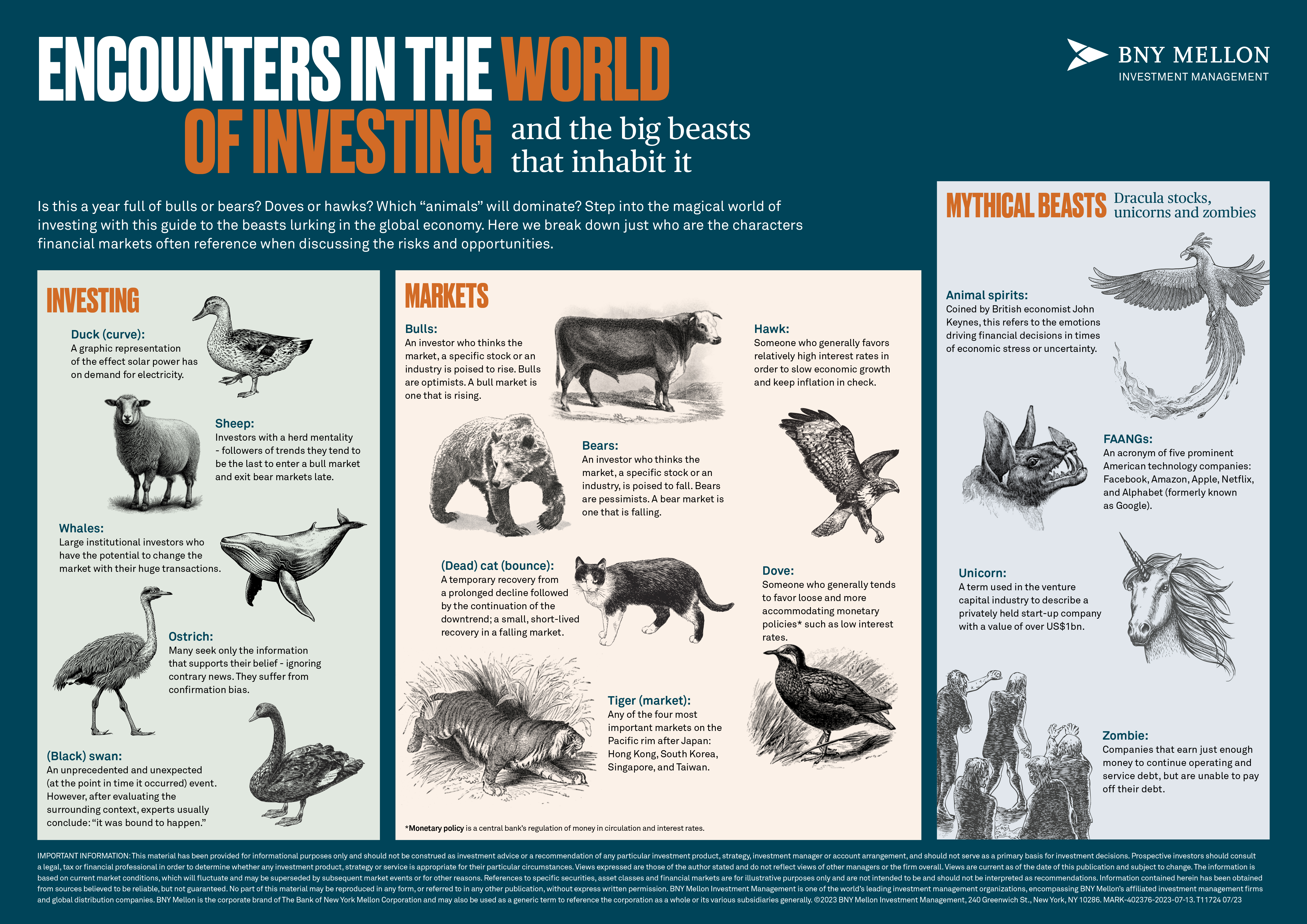 Infographic using animal metaphors to describe investing and financial markets
